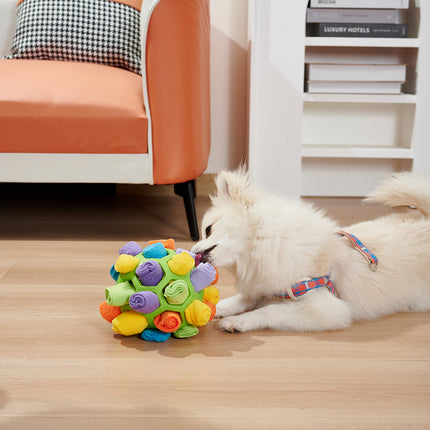 Dog Sniffing Ball (Pet Training Toy)