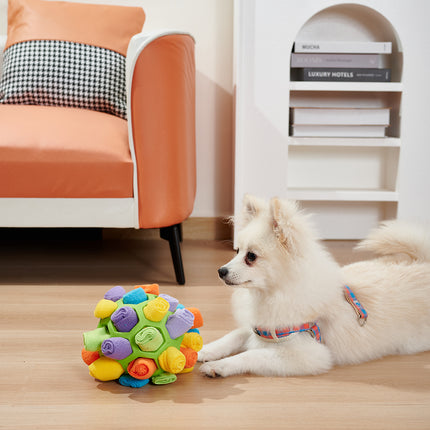 Dog Sniffing Ball (Pet Training Toy)