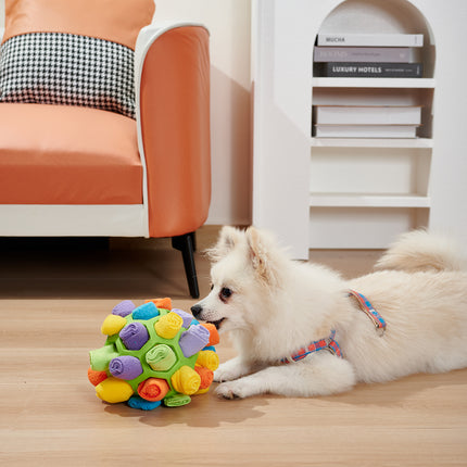 Dog Sniffing Ball (Pet Training Toy)