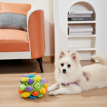 Dog Sniffing Ball (Pet Training Toy)